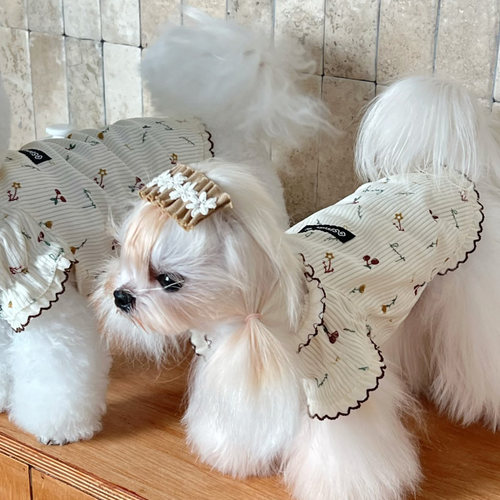 馨然小型犬灯芯绒柔软打底衫夏季