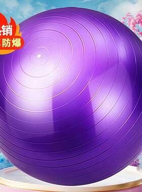 瑜伽球成人专用健身球加厚防爆瘦身婴儿童感统训练孕妇助产大小球