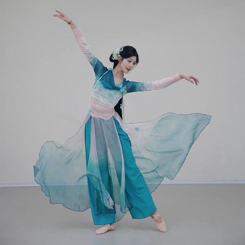 古典舞蹈服女渐变纱衣艺考练功服