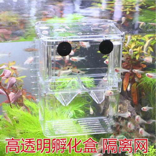 幼鱼孵化盒孔雀鱼繁殖器幼鱼隔离盒双层自浮式鱼苗盒斗鱼盒繁殖盒