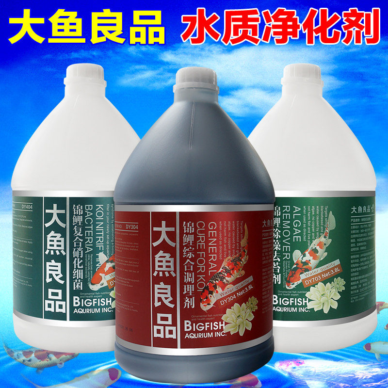 大鱼良品锦鲤鱼池水族硝化细菌鱼