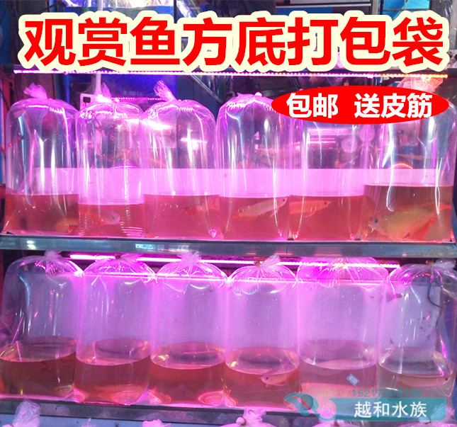 鱼打包袋锦鲤打包袋虾观赏鱼航空运输氧气包装袋塑料袋四角方底袋