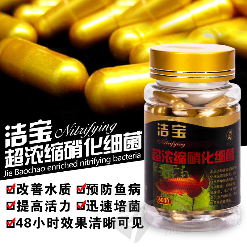 洁宝硝化细菌超浓缩复合EM菌益生菌水族干粉硝化菌胶囊超值60粒装