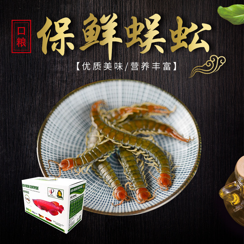 饲料活体蟋蟀食物鱼粮大麦虫