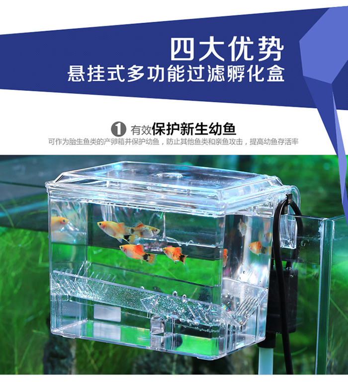 建荣bb10带水泵外挂式繁殖箱产卵