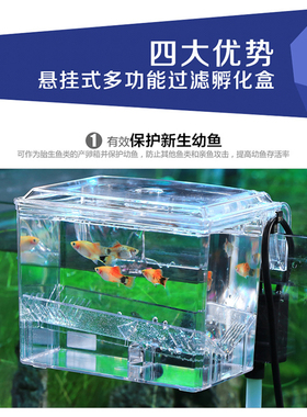 建荣BB10 带水泵外挂式孵卵器 隔离盒箱 繁殖产卵盒 幼鱼繁殖箱