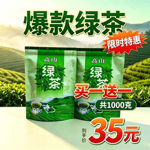 新茶高山云雾绿茶1000克浓香型