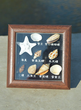天然贝壳海螺海星相框生日礼物画框中空正方形摆台威海旅游纪念品