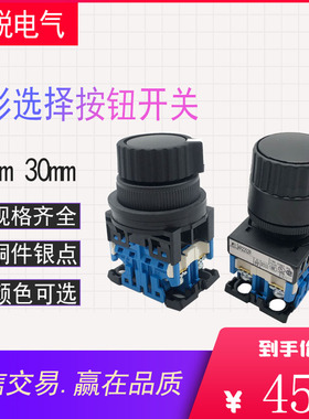 原装进口富士两档带选择环按钮开关AR22S2R-20B绿色带环形AR30S2R