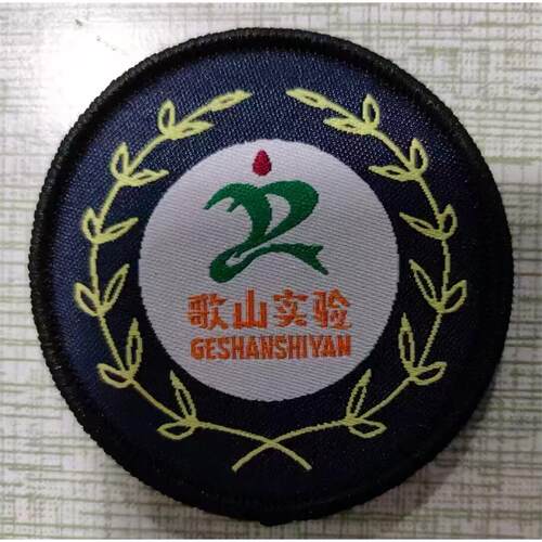 赛歌东阳市歌山实验小学