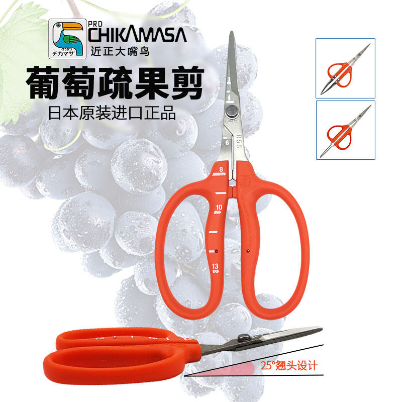日本进口大嘴鸟葡萄剪阳光玫瑰蔬果剪修果剪妮娜晴王蔬果采摘镊剪