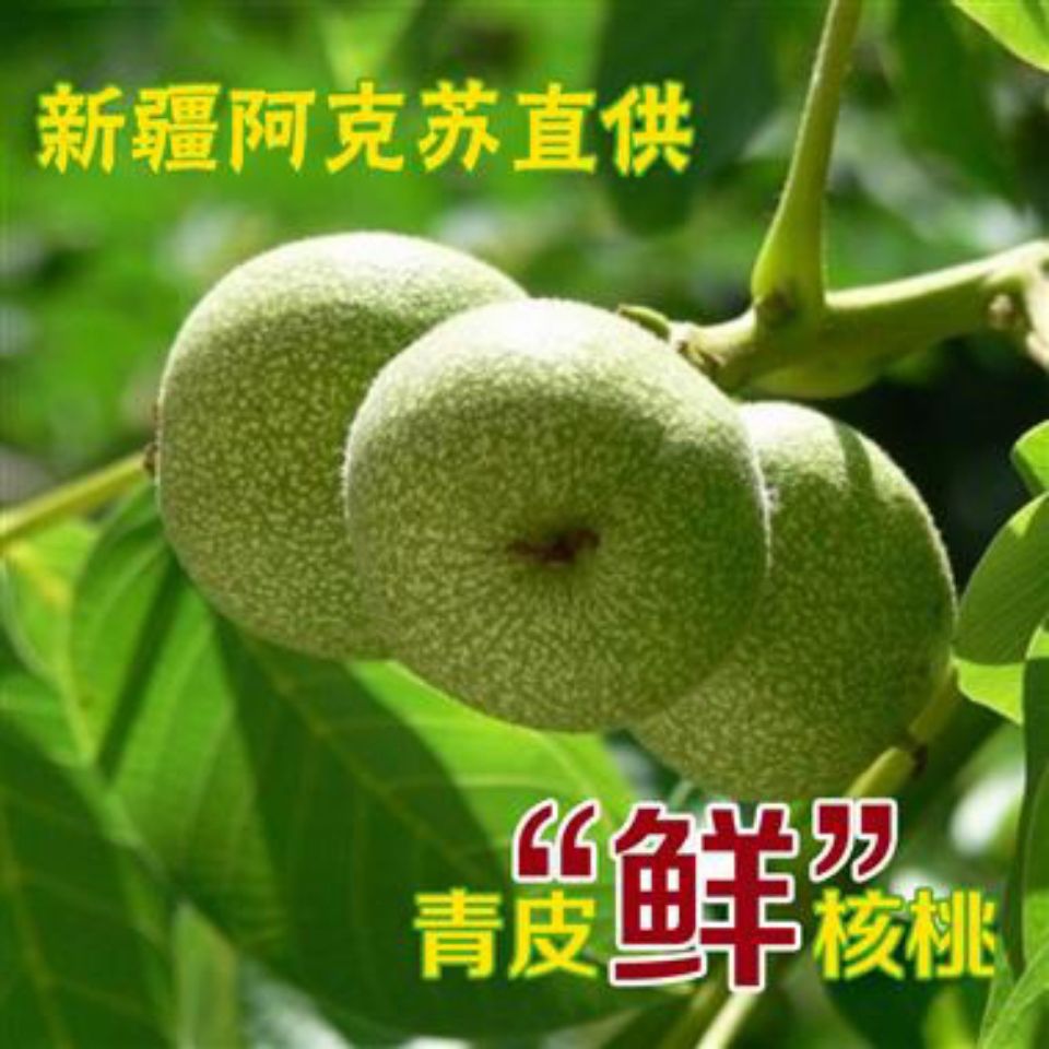 新鲜青皮核桃新疆阿克苏青皮核桃产地直发礼盒装整箱