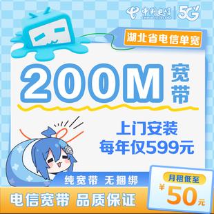 湖北电信宽带办理200M光纤宽带包年套餐宽带安装 包年 B站 599元