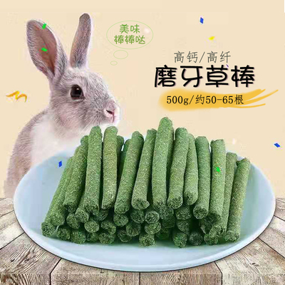 兔子提摩西磨牙棒草棒兔兔荷兰猪