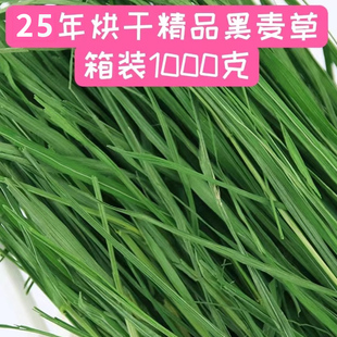 2025年新烘干黑麦草1kg箱装兔子龙猫荷兰猪干草粮食饲料牧草多叶