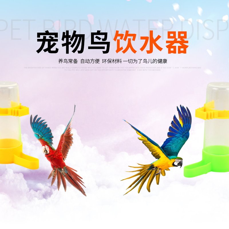 鸟笼自动饮水器 鸟类鸟用饮水喂食下料器喝水器鹦鹉养鸟用具用品