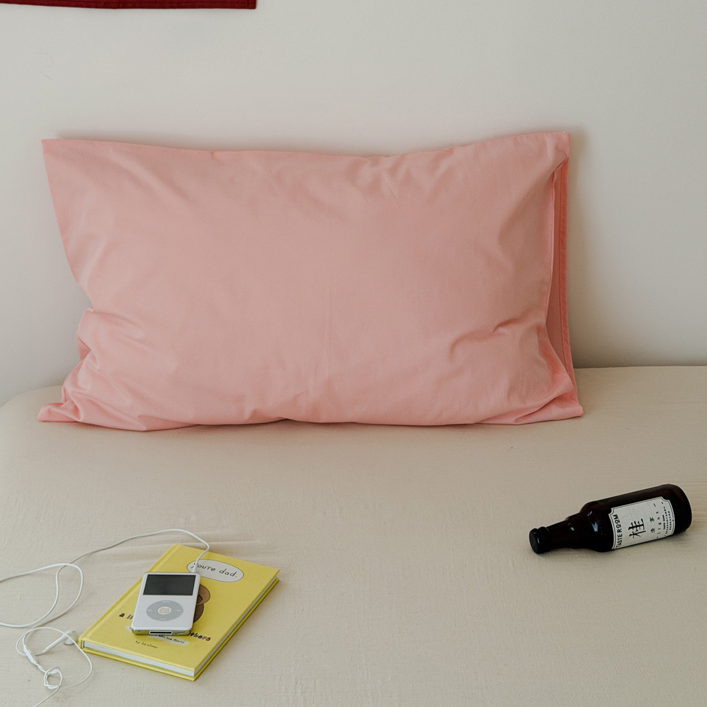 2026新款水洗棉单品枕套成人48X74cm简约可机洗枕套一对