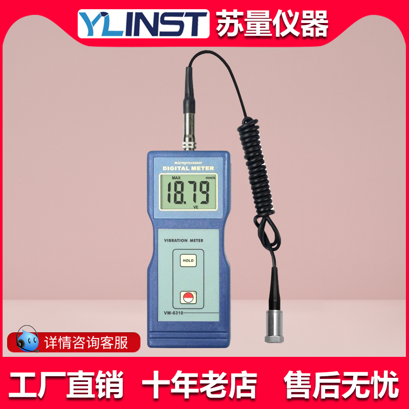 兰泰 振动仪VM6310 测振仪VM-6310震动仪 震动测试仪
