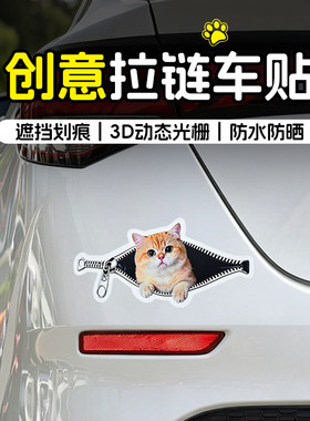 车载拉链偷看蓝眼睛小猫贴画汽车