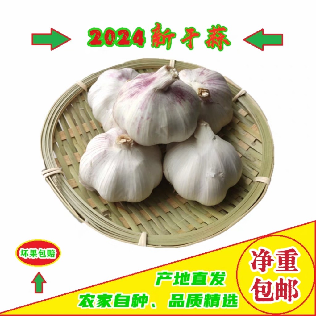2025年大蒜农家自种底价十足干蒜