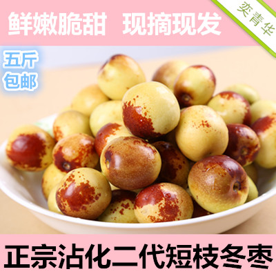 【大果】正宗山东沾化二代短枝冬枣新鲜特产水果脆甜大枣5斤包邮