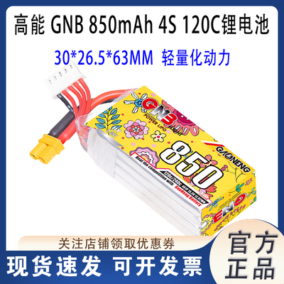 GNB高能850mAh4S轻量化动力电池
