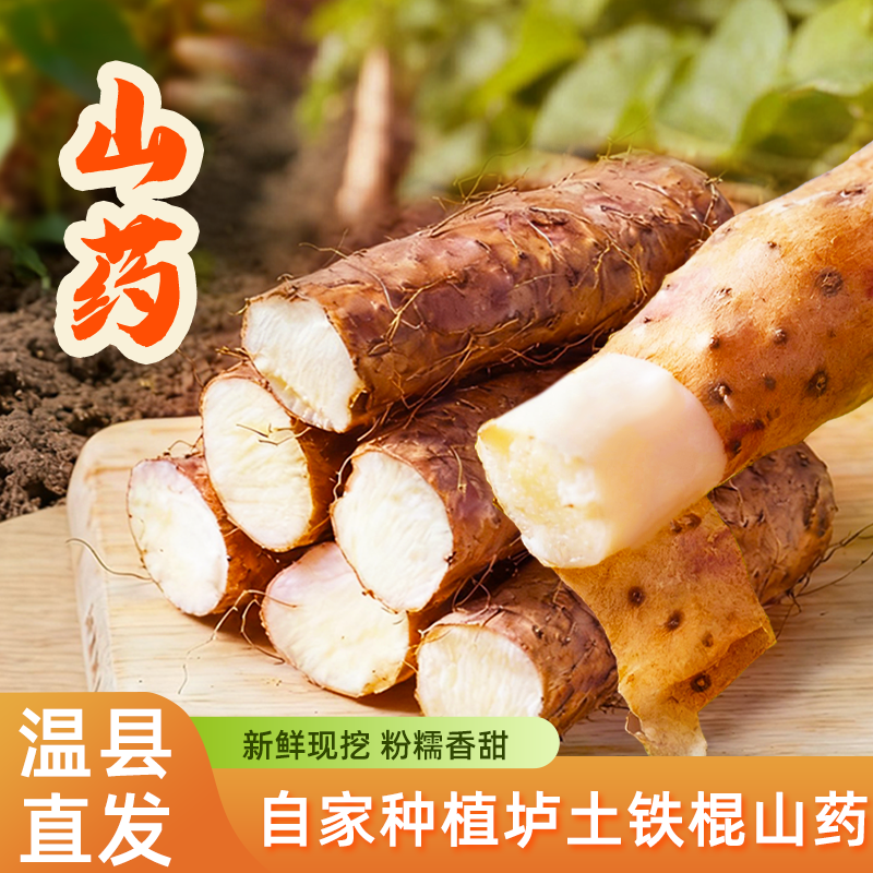 豫怀人温县铁棍山药 新鲜怀山药河南特产淮山药中药材正宗铁杆5斤