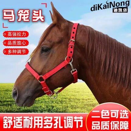 迪凯马具马术龙套牵引马具绳笼头合金配件调教龙头套拴马装备包邮