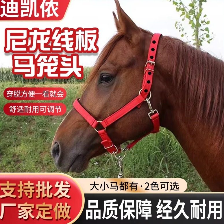 迪凯马具马术龙套牵引马具绳笼头合金配件调教龙头套拴马装备包邮