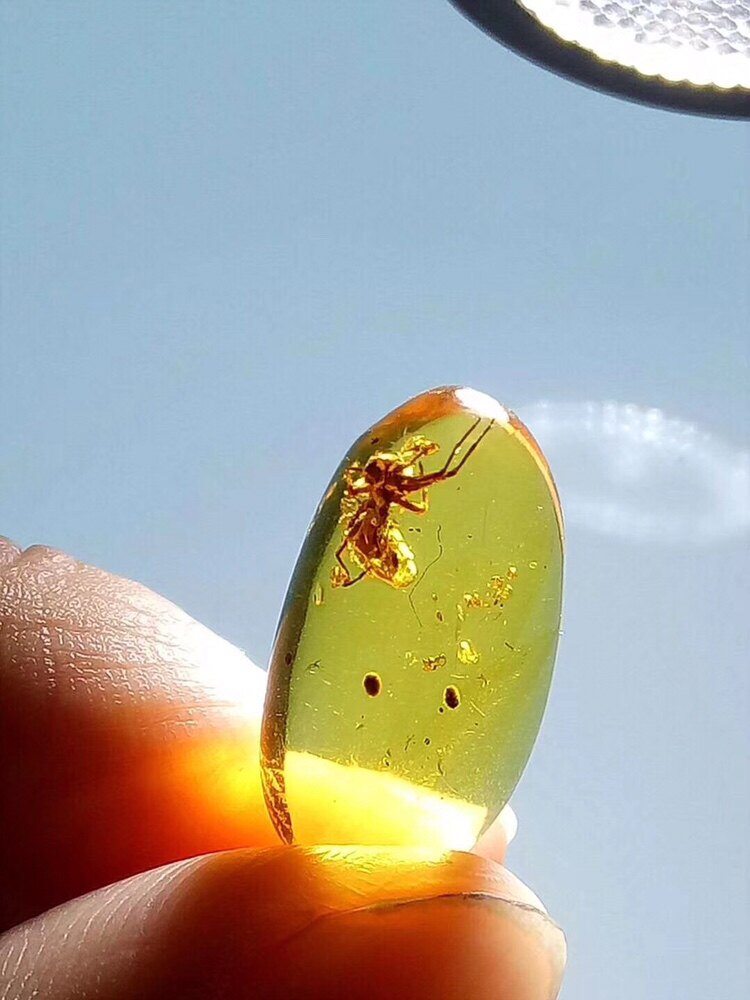 【素缘】缅甸纯天然虫珀吊坠0329 23琥珀带原始蜘蛛标本原石戒面