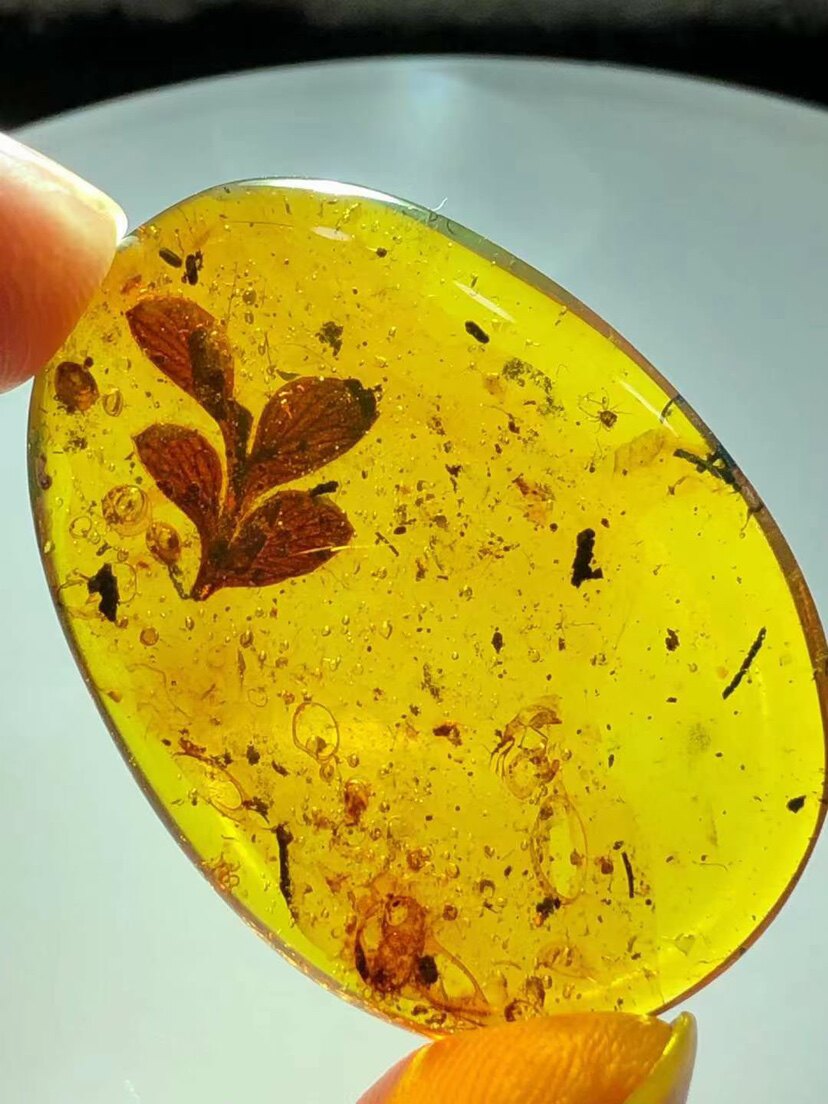 素缘缅甸天然虫珀吊坠1205琥珀带植物叶子标本化石原石坠子挂件