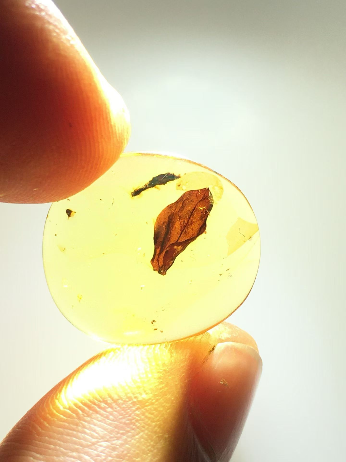 素缘缅甸天然虫珀吊坠0921琥珀带植物叶子标本化石原矿坠子挂件