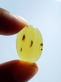 素缘缅甸天然虫珀吊坠0625 268琥珀带石蛾标本化石原石坠子戒面