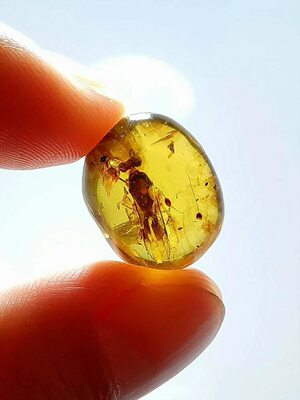 素缘缅甸天然虫珀吊坠0611 27琥珀带蜜蜂标本化石原矿坠子