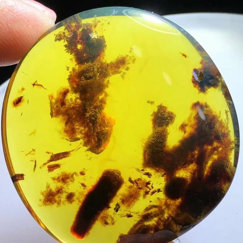 素缘缅甸天然虫珀吊坠0319琥珀带珊瑚标本化石原石坠子挂件