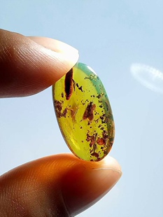 素缘缅甸天然虫珀吊坠0625 238琥珀带节腹蛛石蛾标本化石原石