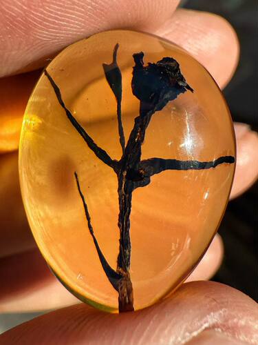 素缘缅甸天然虫珀吊坠0602琥珀带植物标本化石原矿坠子