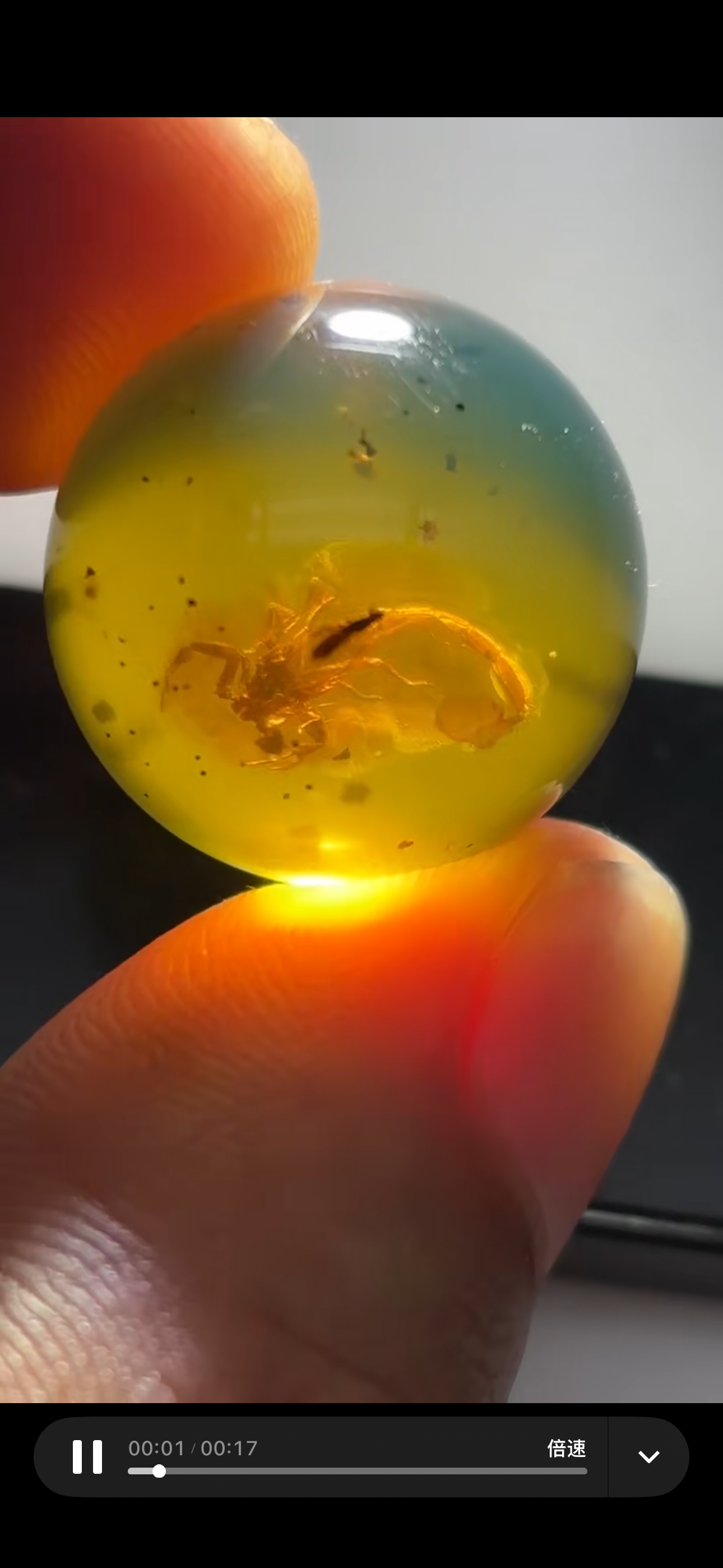 素缘缅甸天然虫珀吊坠0326琥珀带蝎子标本化石原矿坠子挂件