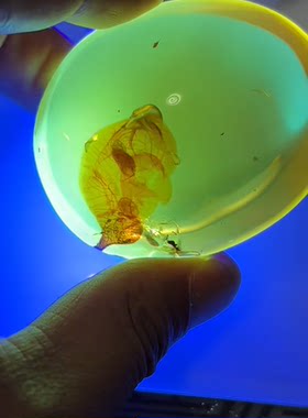 素缘缅甸天然虫珀吊坠0610琥珀带植物标本化石原矿坠子