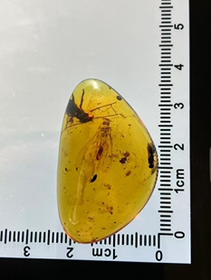 素缘缅甸天然虫珀吊坠0909 49琥珀带石蝇标本化石原石坠子挂件