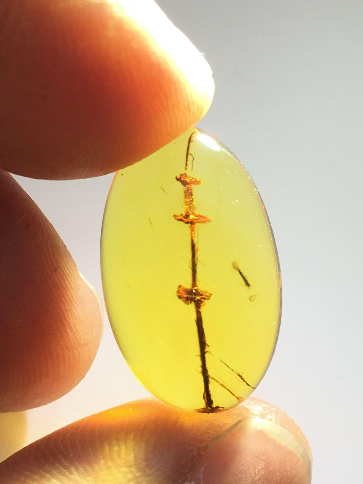 素缘缅甸天然虫珀吊坠0402琥珀带植物标本化石原矿坠子