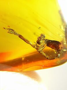 素缘缅甸天然虫珀吊坠0313琥珀带豆娘标本化石原矿坠子