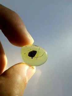 【素缘】缅甸纯天然虫珀吊坠0403 36琥珀带植物种子标本挂件戒面