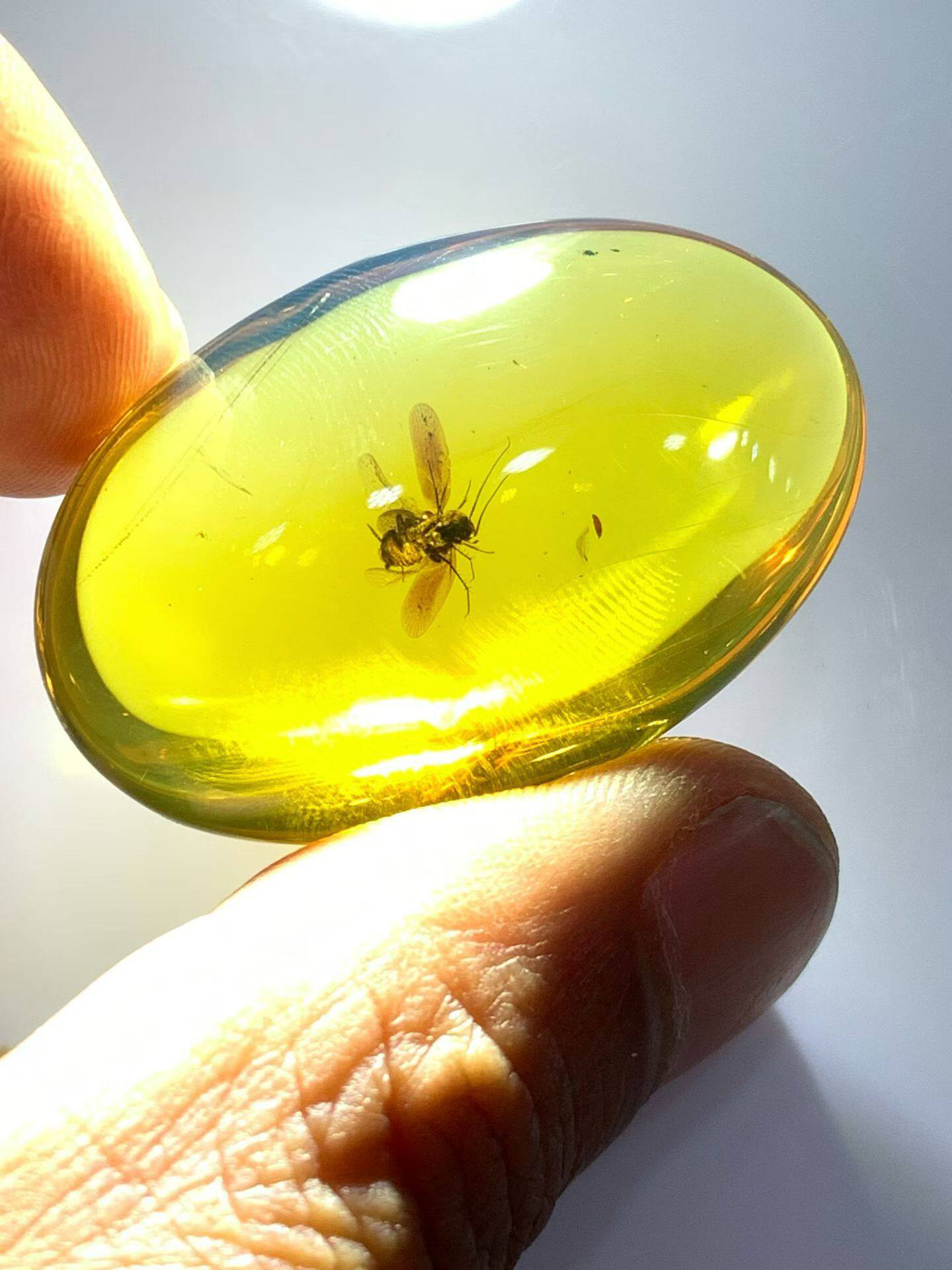 素缘缅甸天然虫珀吊坠0402琥珀带飞蠊标本化石原矿坠子