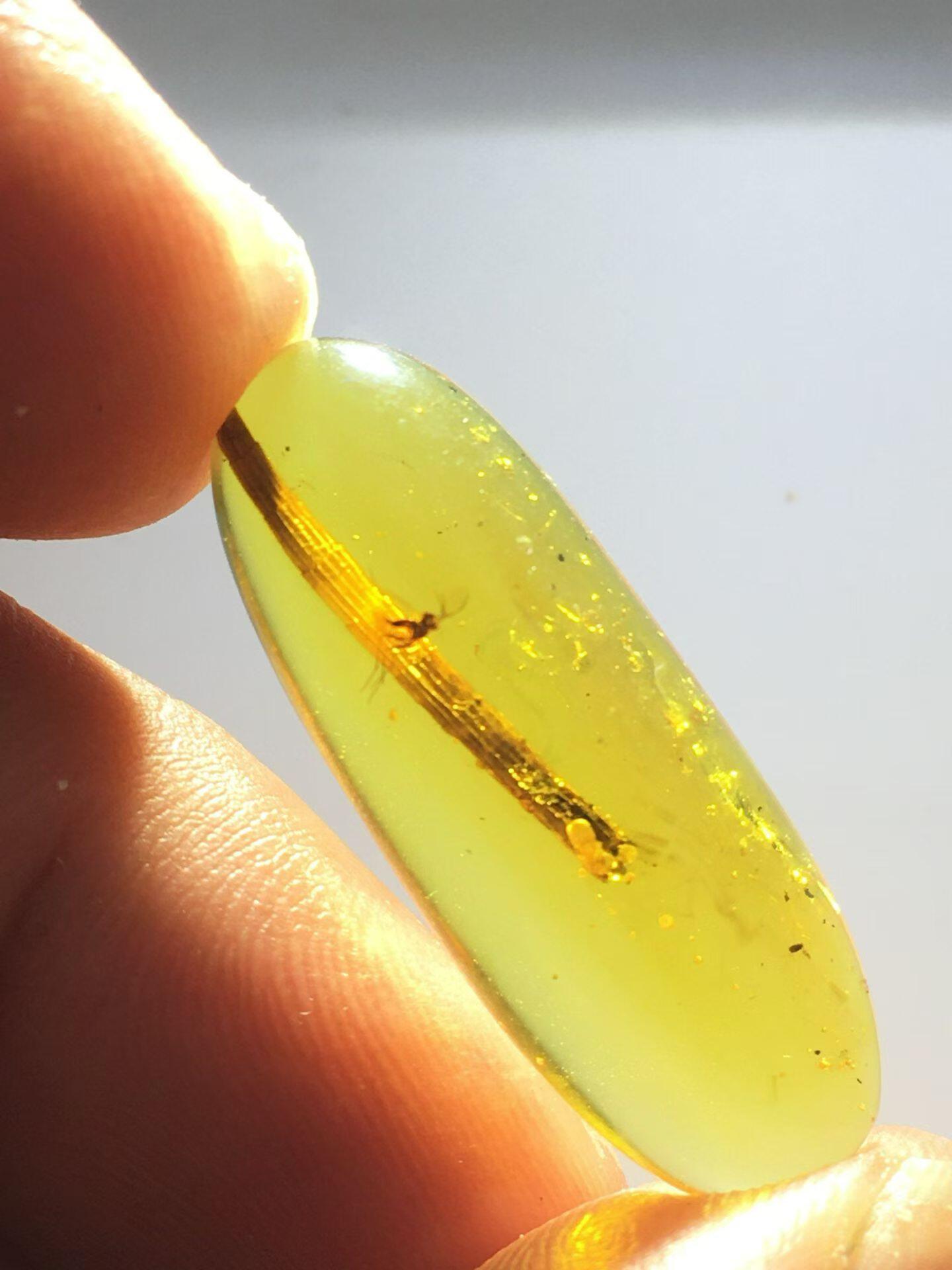 素缘缅甸天然虫珀吊坠0427琥珀带蜥蜴尾巴蚊子标本化石原矿