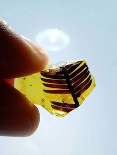 【素缘】缅甸纯天然虫珀吊坠0119 12琥珀带植物杉树叶子标本挂件