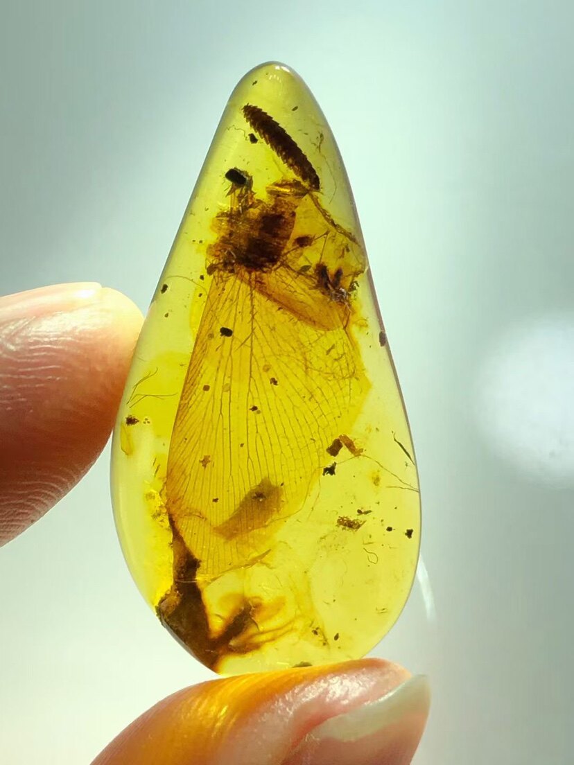 素缘缅甸天然虫珀吊坠0413 19琥珀带蛉马陆标本化石原石坠子戒面