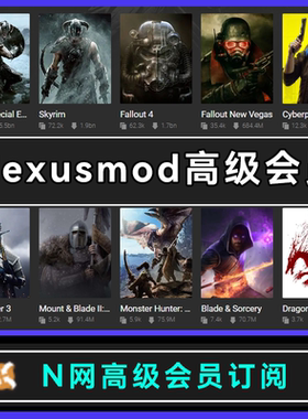 N网 nmm nexus mods 月度会员 N网会员订阅