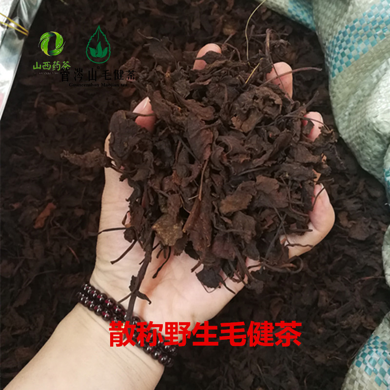 山西药茶忻州宁武特产野生毛尖茶