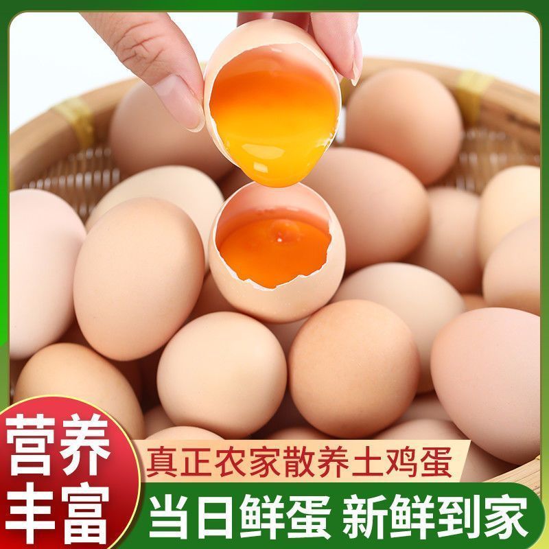 恩施土鸡蛋农家散养新鲜初生蛋谷鸡蛋